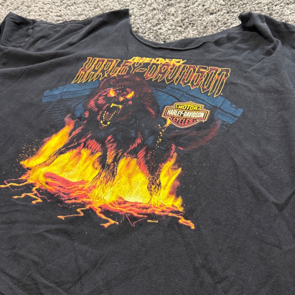 Vintage Harley Davidson T-Shirt Mens Black Fair Fire Wolf Graphic XL 0000276